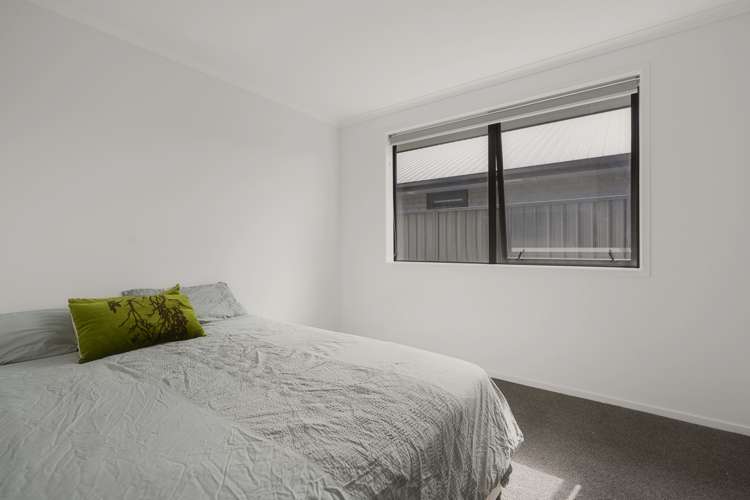 14 Ash Lane Omokoroa_10