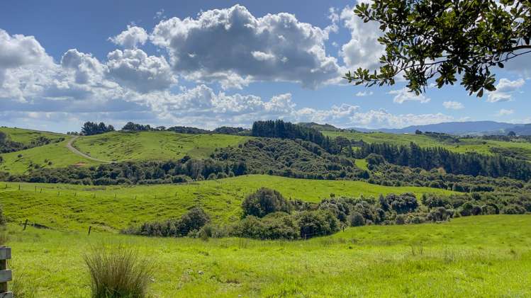 457c Findlay Road Miranda_18