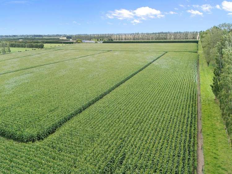 349 Wakanui Road Ashburton_9