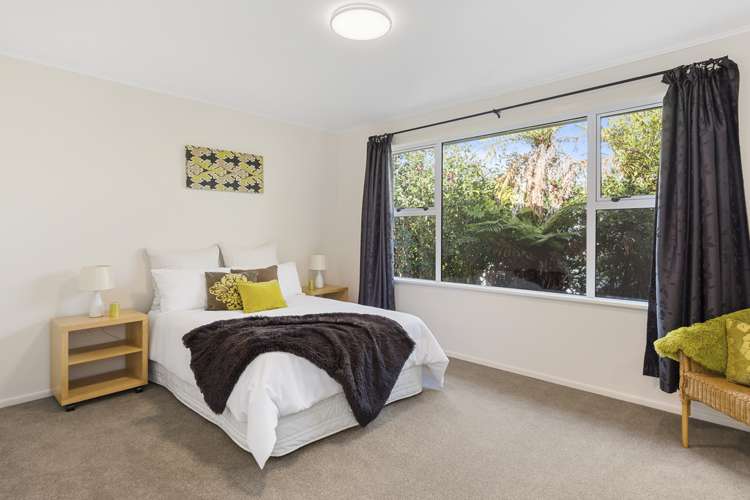 38b Robins Road Judea_6