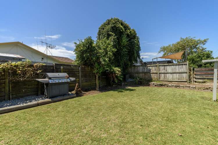 157A Eversham Road Mt Maunganui_3