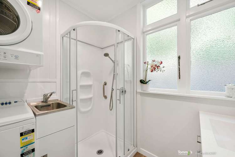 47 Norway Street Aro Valley_7