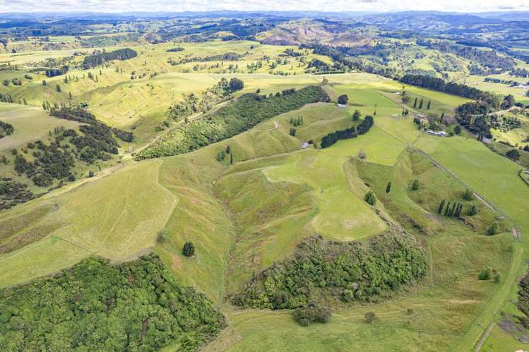 505A Kauangaroa Road Fordell_2