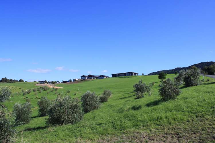 117 Robert Hastie Drive Mangawhai_15