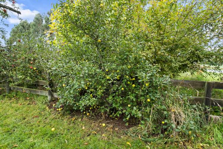 178 Geraldine - Arundel Road Rangitata_20