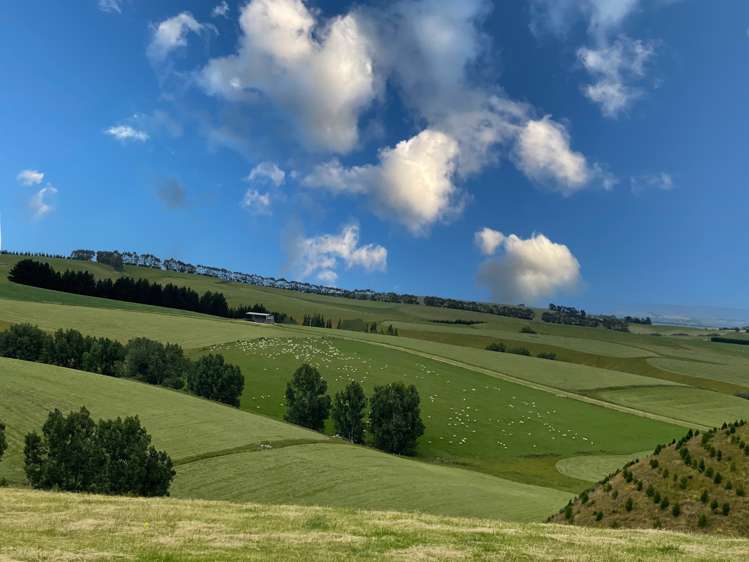 446 Skinner Road Clinton and Surrounds_7