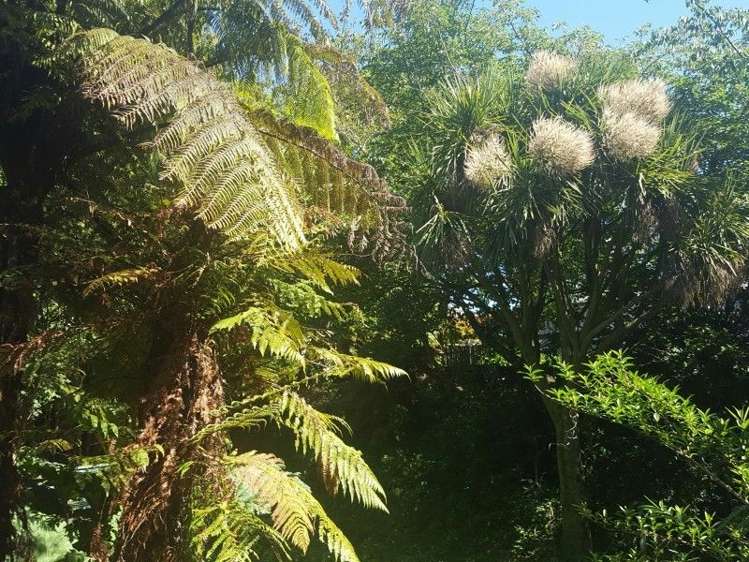 86 Pembroke Road Stratford_8