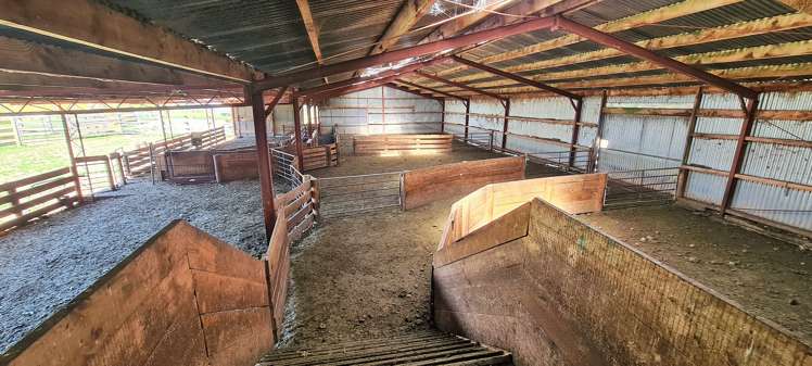 41 Otaria Road Gore Surrounds_6