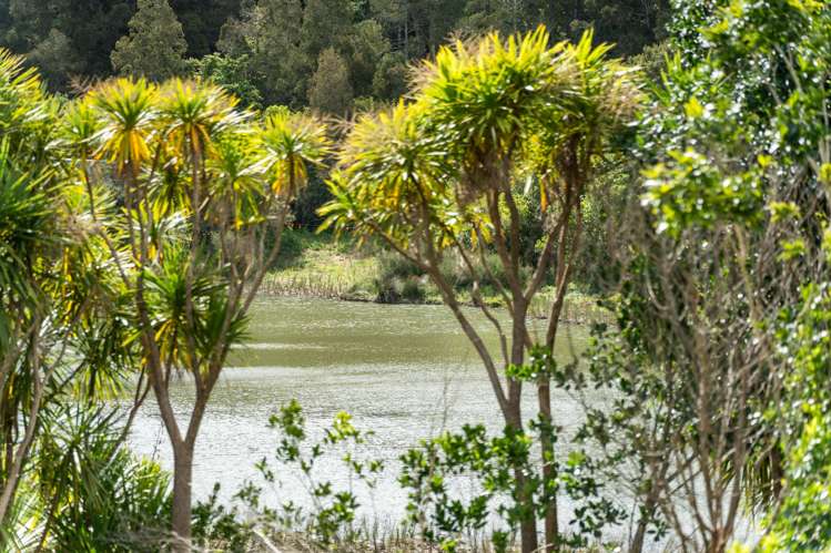 1/9a Kitewao Street Northcote_24