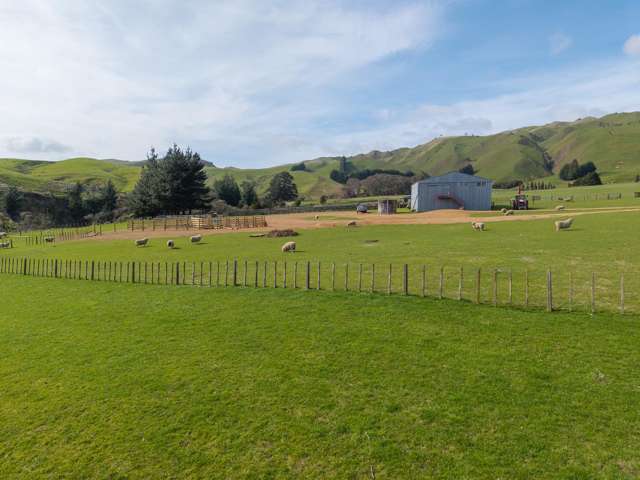 558 Pukeatua Road Dannevirke_4