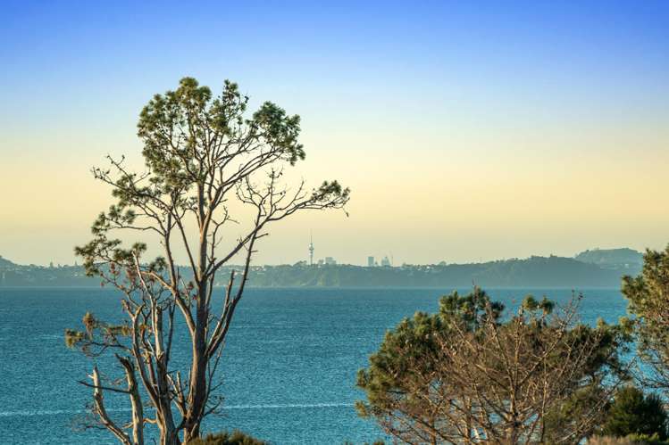 202G Big Bay Road Manukau Heads_24