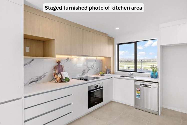 46 Elm Street Avondale_5