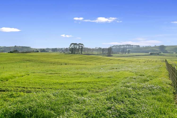 163 Starkey Road Morrinsville_7