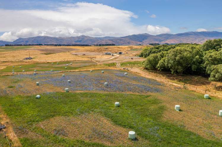 3651 Becks-Lauder Road Omakau_23