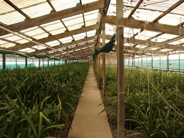 983 Maungakaramea Road Maungakaramea_11