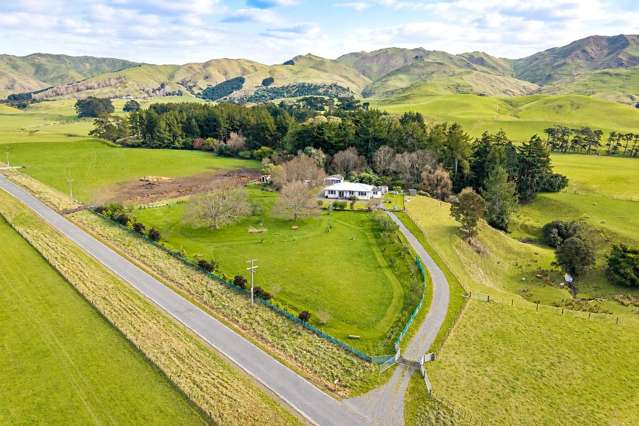 1034 Waitahora Road Dannevirke_3