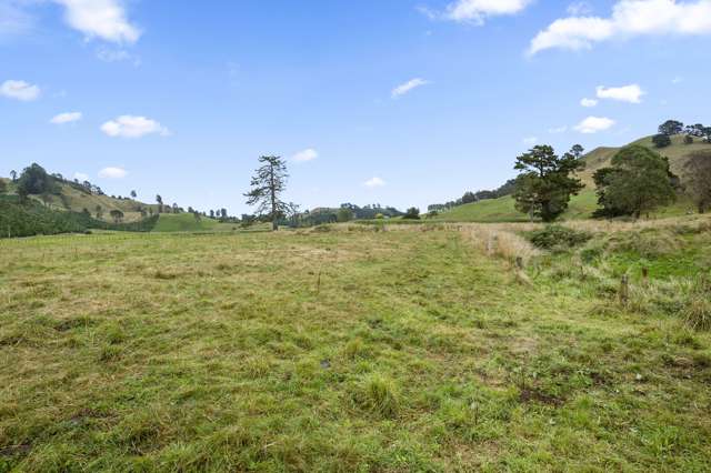 3/1272 Te Kopia Road Waikite Valley_2