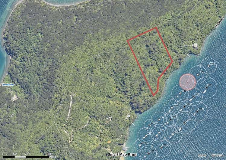 The Snout Waikawa Bay Picton_18