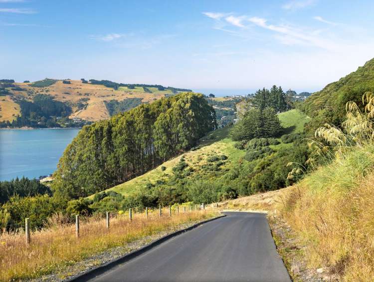 65 Kakapo Street Saint Leonards_10