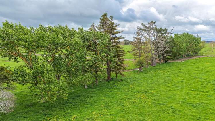 264 Matatoki Road Matatoki_29