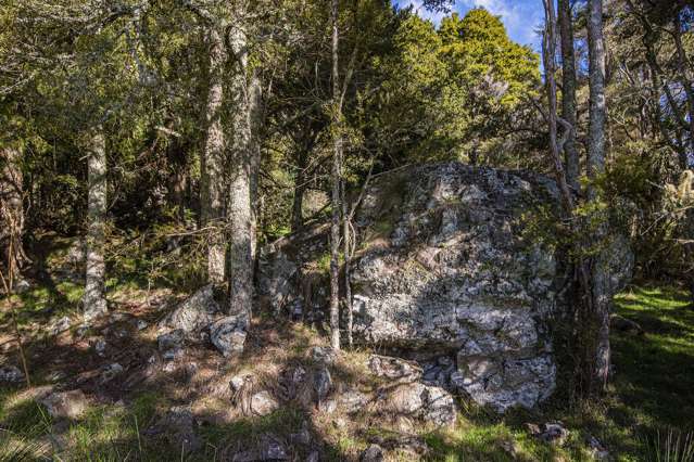 433 & 451 Crane Road Kauri_3