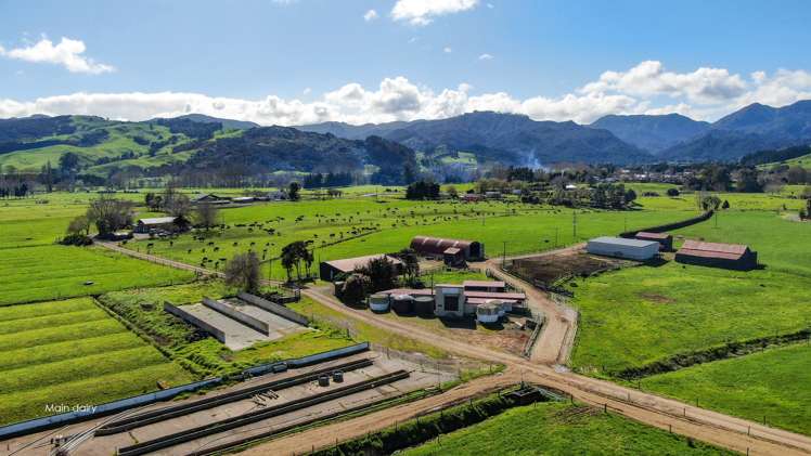 81 Station Road Puriri_5