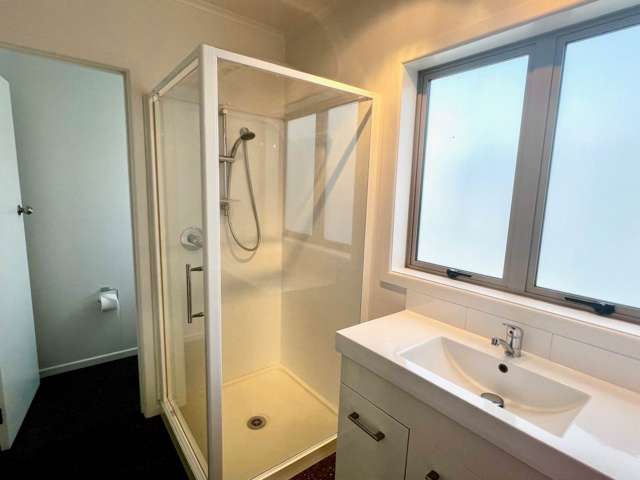 3A Henry Curd Terrace Pukekohe_4