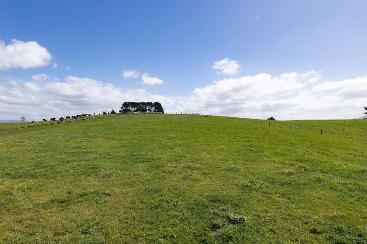 231 Heard Road Waihi_23
