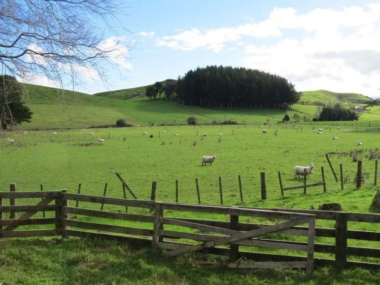 20 Taylors Road Pahiatua_15