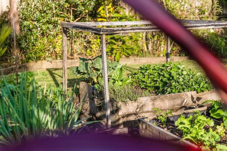 43b Kauri Road Stanmore Bay_18