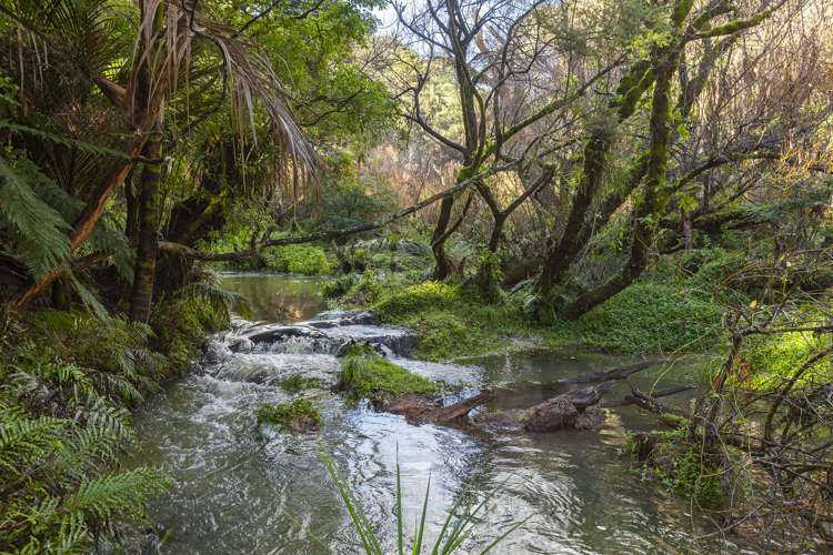 226 Peria Road Peria_6