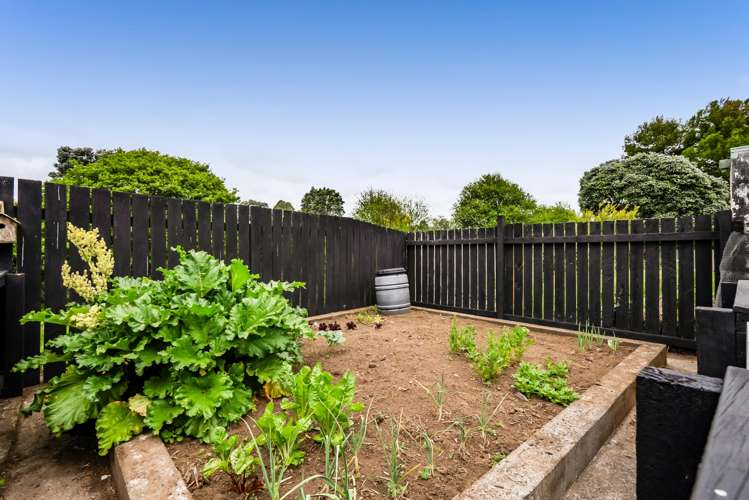 34b Camellia Avenue Bell Block_17