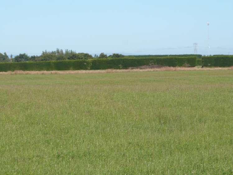 750 Rakahouka Hedgehope Road Mabel Bush_4