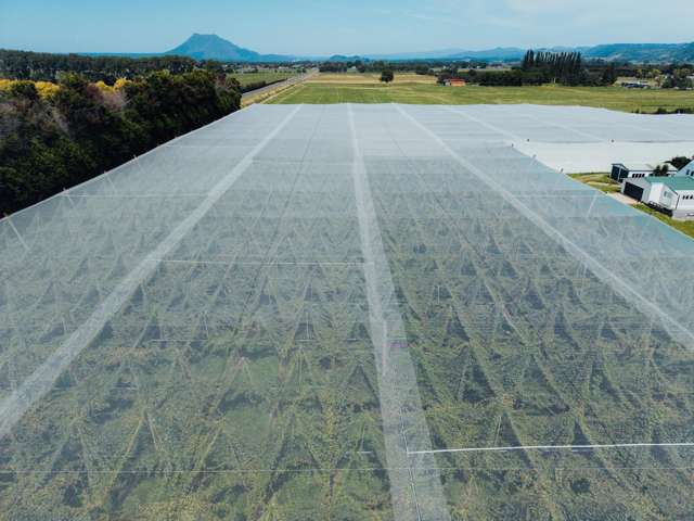 3 ca/ha R19 kiwifruit orchard with upside!