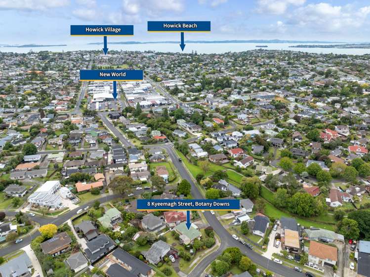 8 Kyeemagh Street Botany Downs_7