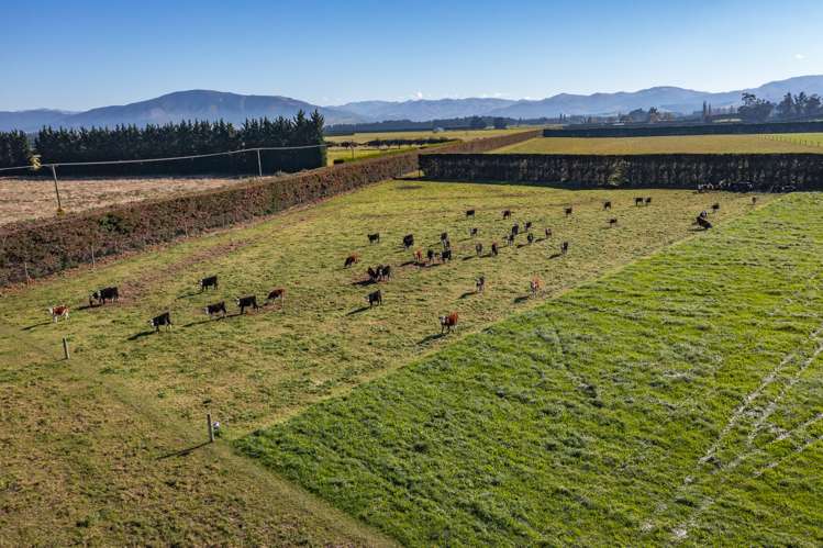 152 Stonyflat Road Loburn_14