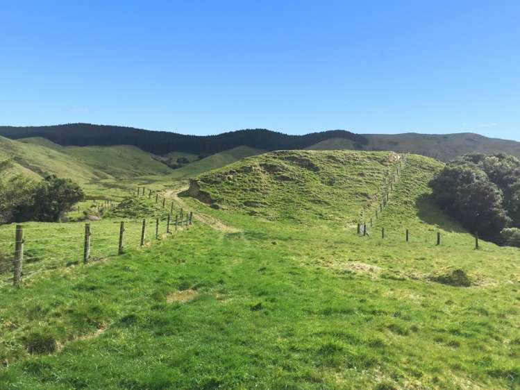 414 Putara Road Eketahuna_6