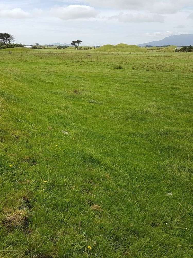 153 Tipoka Road Rahotu_9