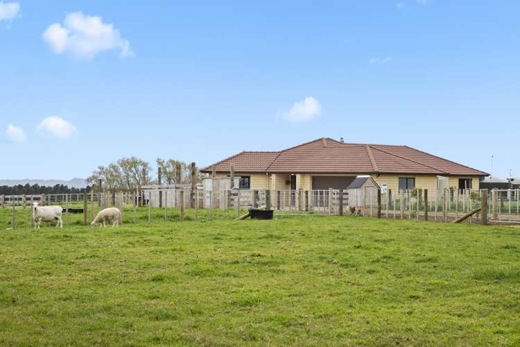 46a Kauri Road Onewhero_19