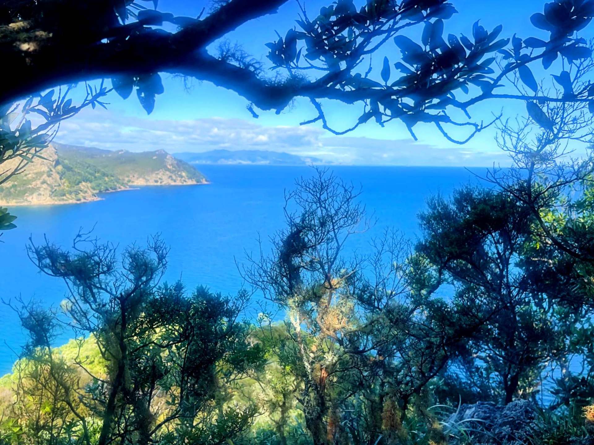 552 Blind Bay Road Great Barrier Island_0