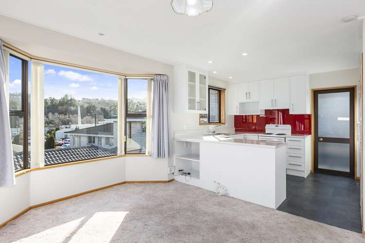 24d Shand Street Green Island_9