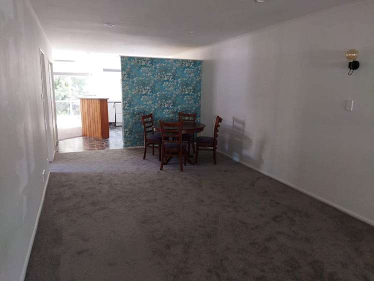 2/44 Devonshire Road Miramar_5