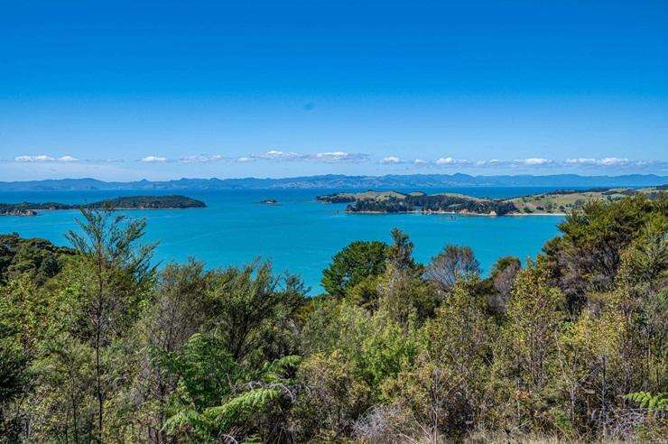The 7.76ha plot at 306A Cowes Bay Road, on Waiheke Island, is for sale for $6.5 million. Photo / Supplied