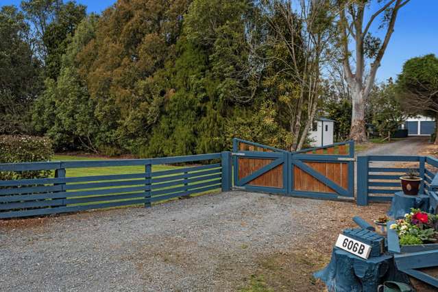 606B Western Drain Road Edgecumbe_3