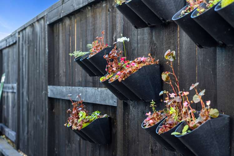 26b Yanicks Crescent Fitzroy_15