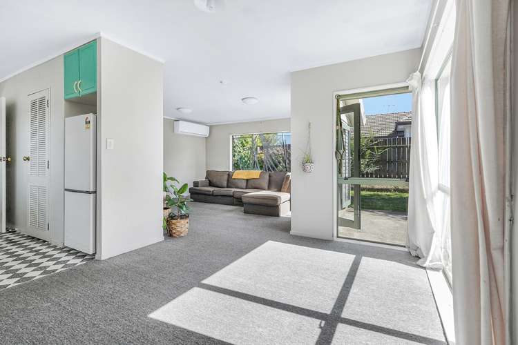 44b Macfarlane Street Hamilton East_7