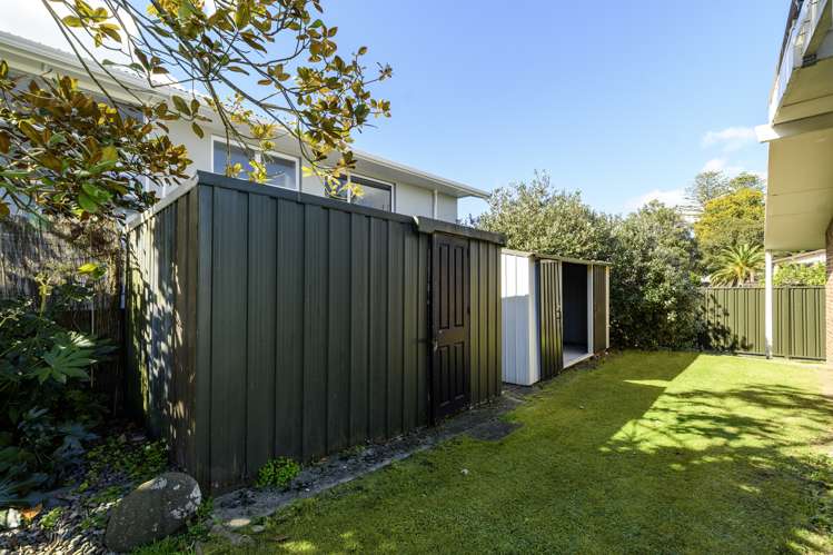 65 Fourteenth Avenue Tauranga South_23