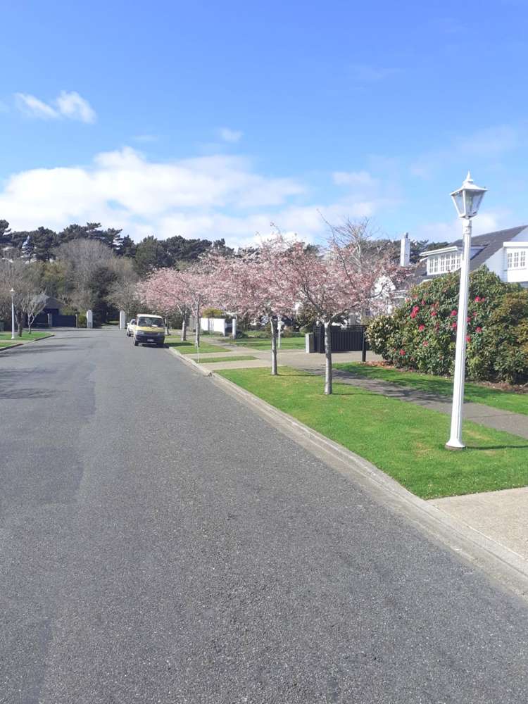 29 Wellesley Avenue Avenal_35