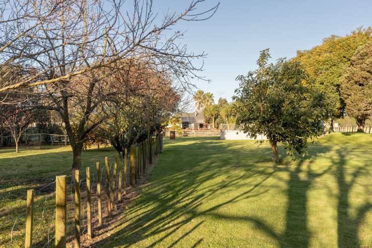 20 Tierra Place Papamoa_21