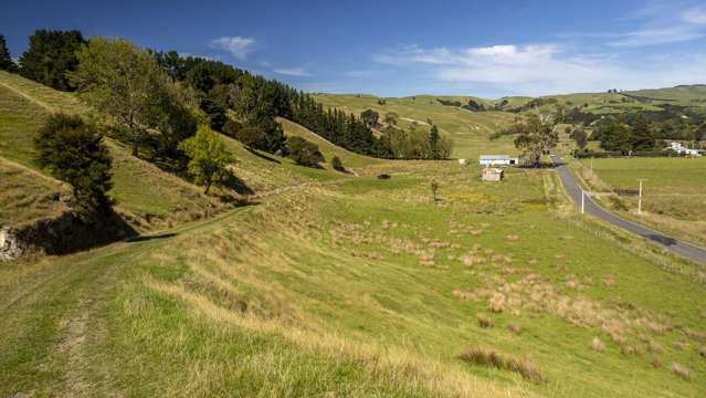 453 Dry River Road Martinborough_4